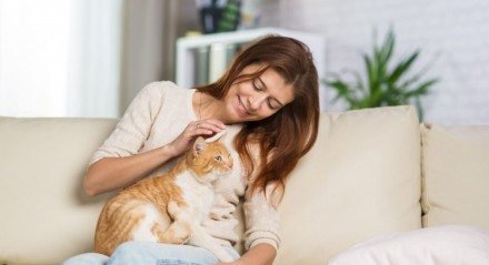 Alguns comportamentos podem indicar que o gato está com dor (Imagem: Media Home | Shutterstock)