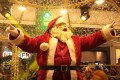 NATAL