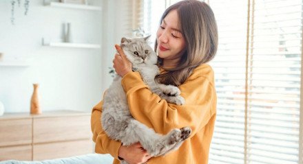 Ter um gato é abrir espaço para momentos de carinho e alegria, com uma companhia única e tranquila para o lar (Imagem: oatawa | Shutterstock)