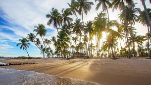 litoral-sul