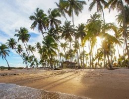 Imagem da Praia de Guadalupe