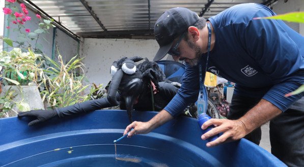 Ação de combate a dengue na Bomba de Hemetério - Dengue - Combate - Agentes de saúde 