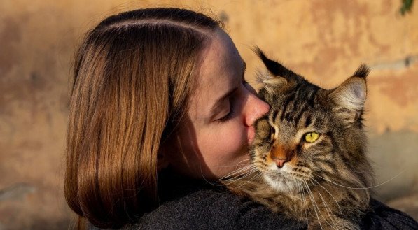 Algumas raças de gatos se destacam pela característica afetuosa, sendo uma escolha ideal para aqueles que buscam uma conexão mais próxima com o animal (Imagem: glebantiy | Shutterstock) 