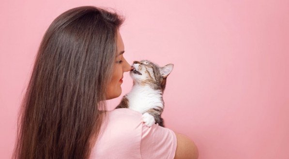 Os motivos pelos quais os gatos lambem seus tutores incluem desde cuidado com a limpeza até conexão emocional (Imagem: Denis Val | Shutterstock)