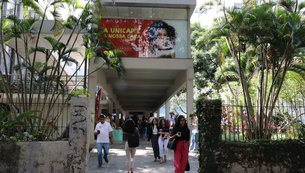 Camile Barros