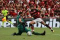 Campeonato Brasileiro