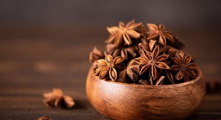 O anis-estrelado é conhecido pelo seu uso culinário e medicinal (Imagem: Gagarova Olga | Shutterstock)