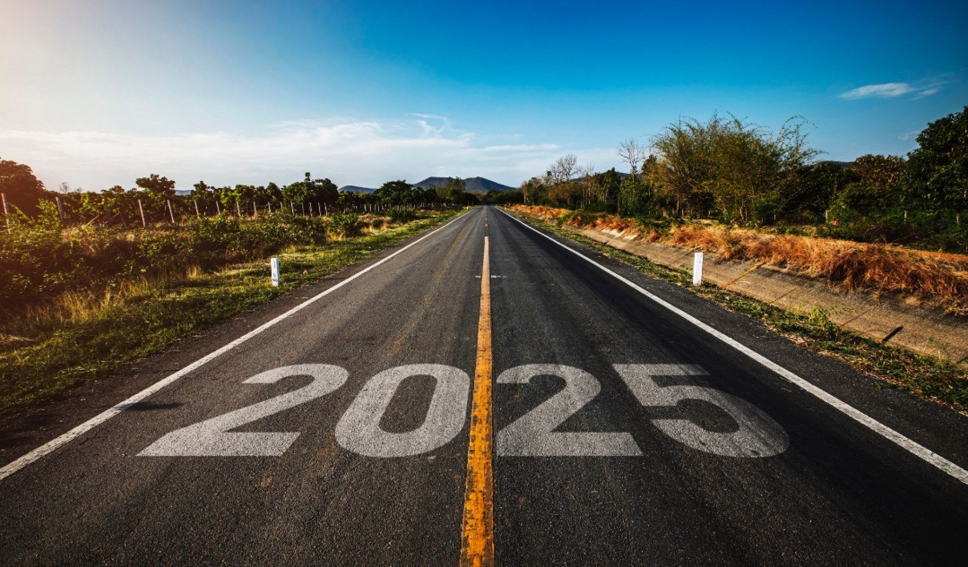 Planejar a carreira para 2025: Por que seguir a lógica tradicional pode deixar você estagnado?