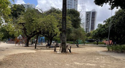 Gramado do Parque da Jaqueira está esturricado