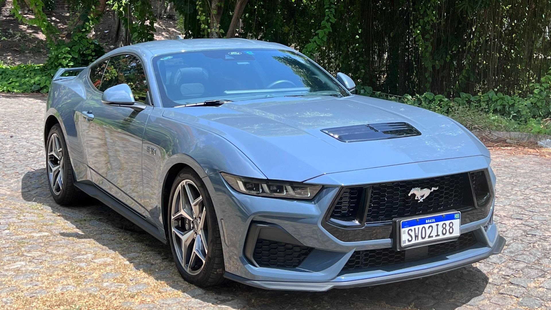 mustang