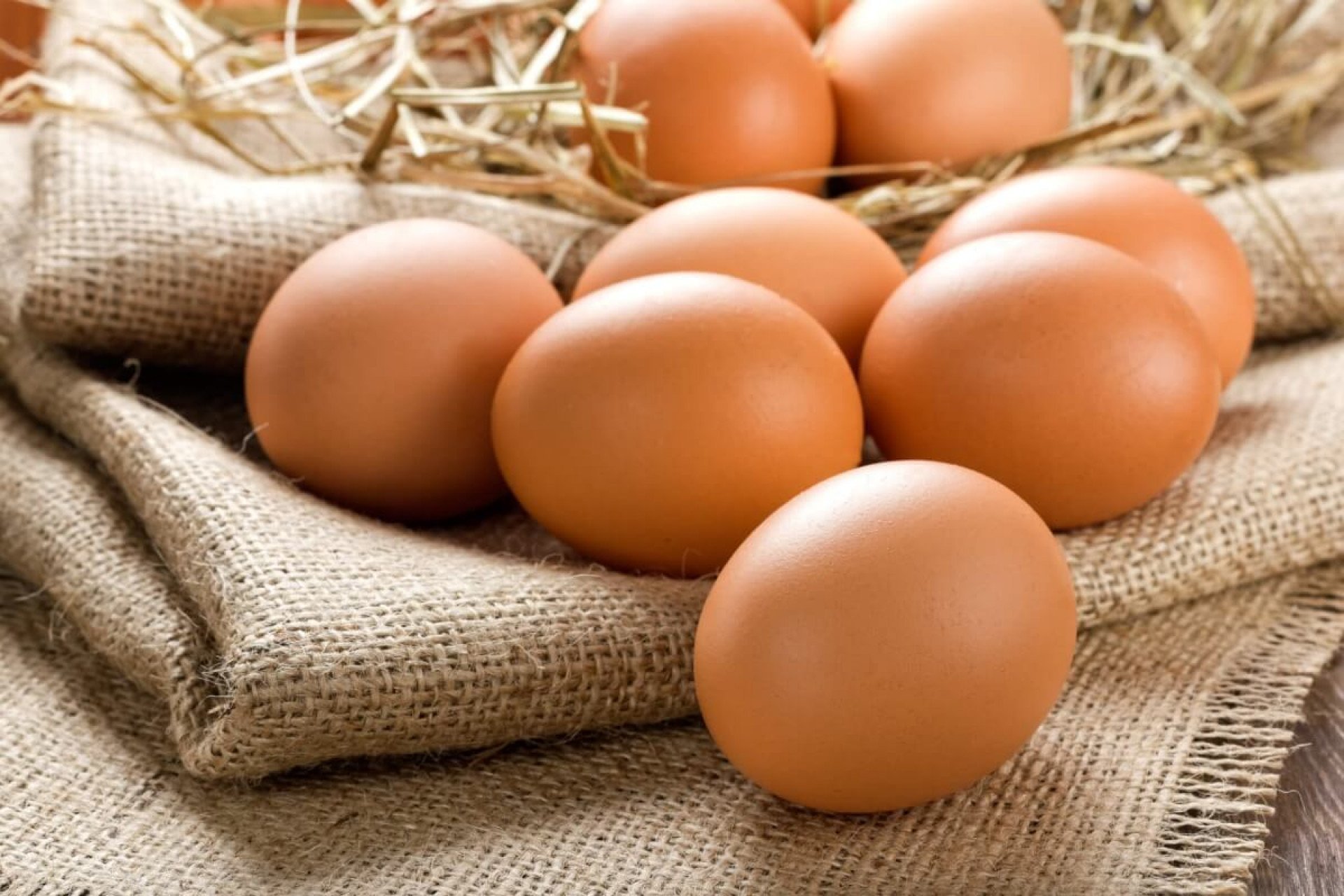 Alguns alimentos podem substituir o ovo na dieta (Imagem: Sea Wave | Shutterstock) Portal Edicase