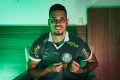 Palmeiras