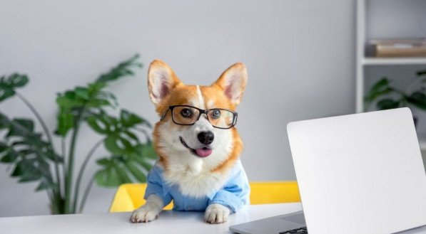 Nomes inspirados em 'The Office' exploram a personalidade única dos pets e criam conexões com os fãs da série (Imagem: Kristina Holovach | Shutterstock)