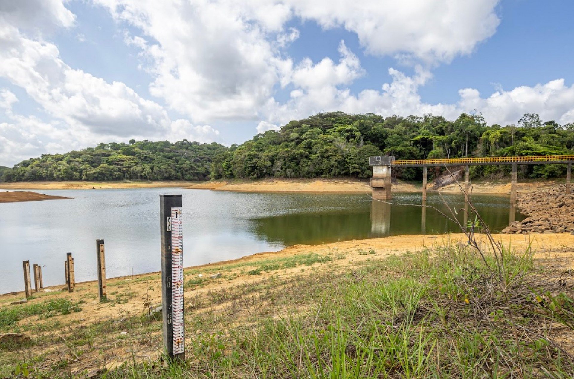 Pernambuco