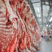 Exportação de carne bovina bate recorde em mês anterior ao tarifaço