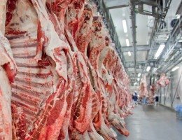 Exportação de carne bovina bate recorde em mês anterior ao tarifaço