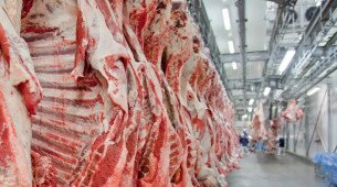 Exporta&ccedil;&otilde;es brasileiras de carne bovina batem recorde em m&ecirc;s anterior ao tarifa&ccedil;o