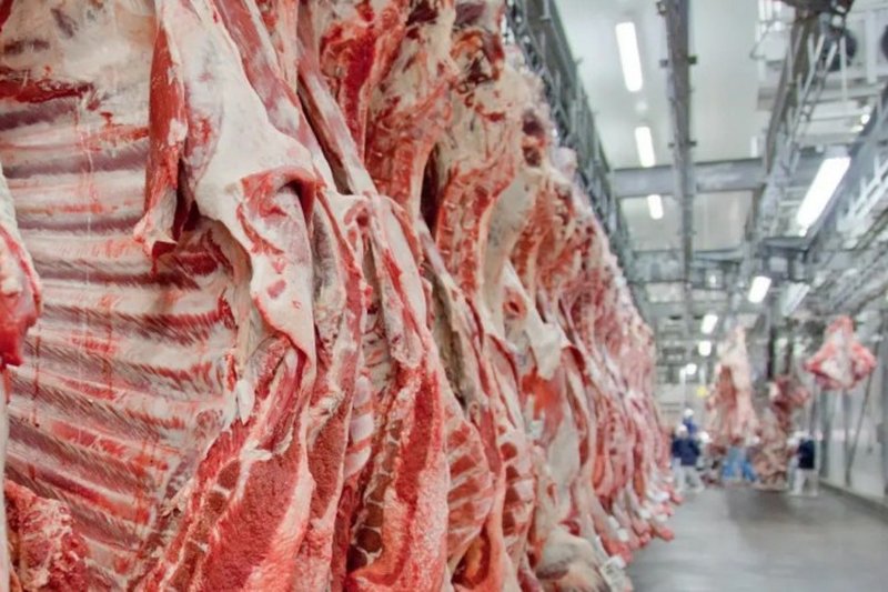 Exportações brasileiras de carne bovina batem recorde em mês anterior ao tarifaço