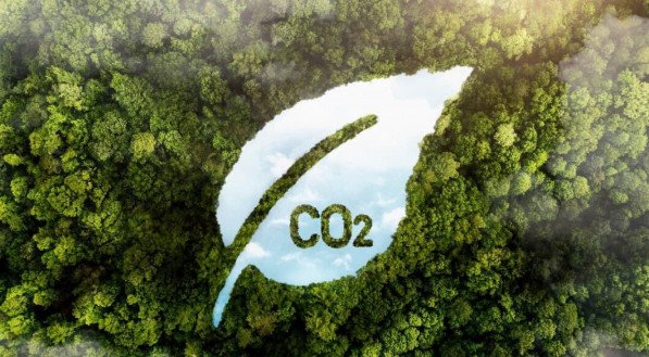 Imagem ilustrativa de um folha com CO2 escrita no meio