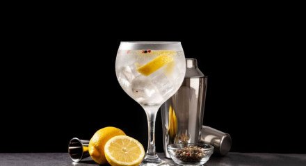 Gin tropical (Imagem: etorres | Shutterstock)