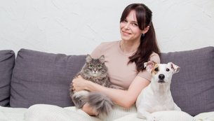 pets