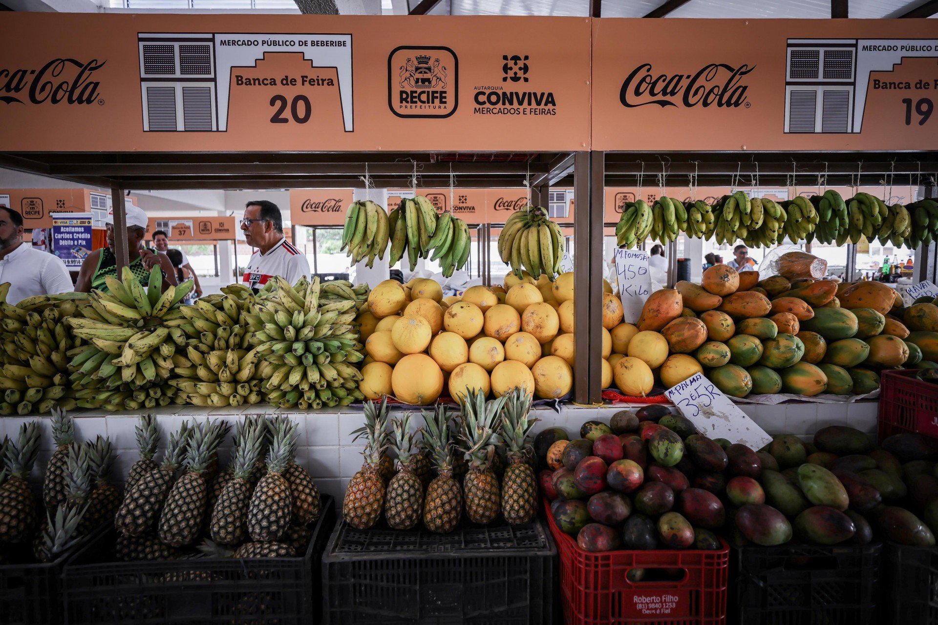 A fruticultura de Pernambuco, com a manga, principal item de exporta&ccedil;&atilde;o do Vale do S&atilde;o Francisco, enfrenta uma grave amea&ccedil;a: milh&otilde;es de caixas est&atilde;o paradas devido &agrave;s tarifas dos EUA. Essa situa&ccedil;&atilde;o pode causar uma queda de at&eacute; 70% nas exporta&ccedil;&otilde;es e uma perda de US$ 54 milh&otilde;es para o setor, com risco de colapso do mercado.