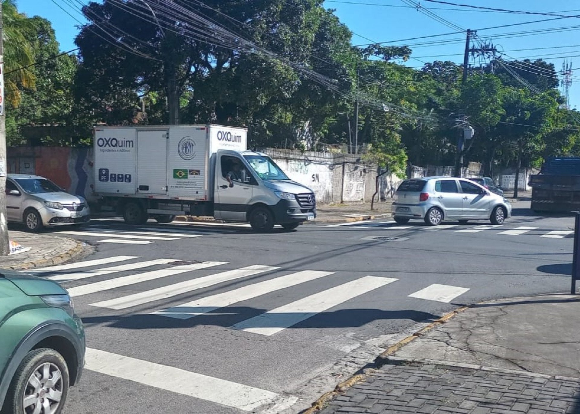 Fenando Castilho