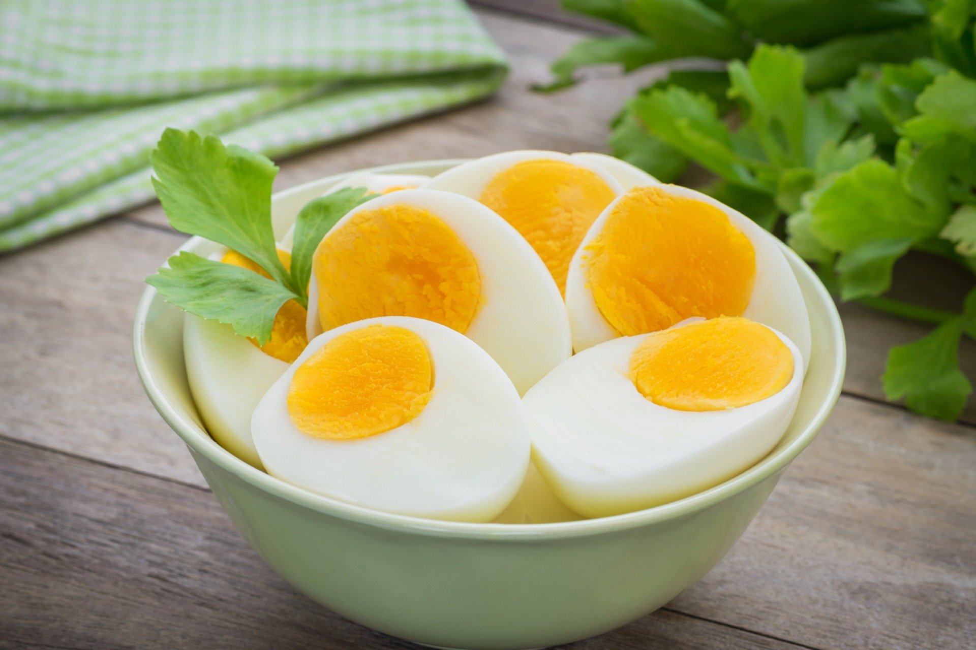 Ovo: a proteína completa que beneficia todas as fases da vida 