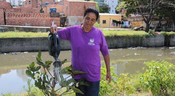 Horta comunitária promove acesso a alimentação saudável em comunidade do Recife