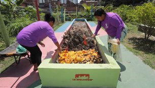 ecologia