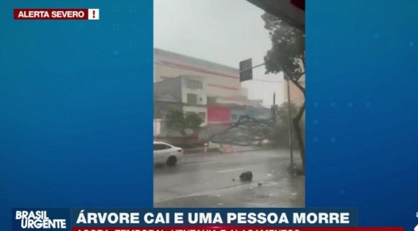Chuva derrubou árvores e deixou um morto em São Paulo