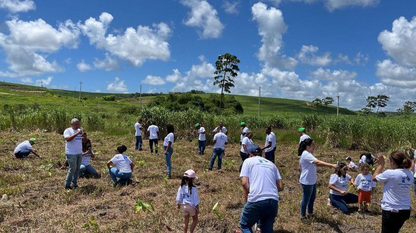 Imagem de voluntários plantando arvores em Itapissuma