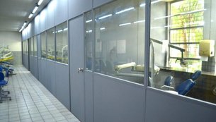 odontologia