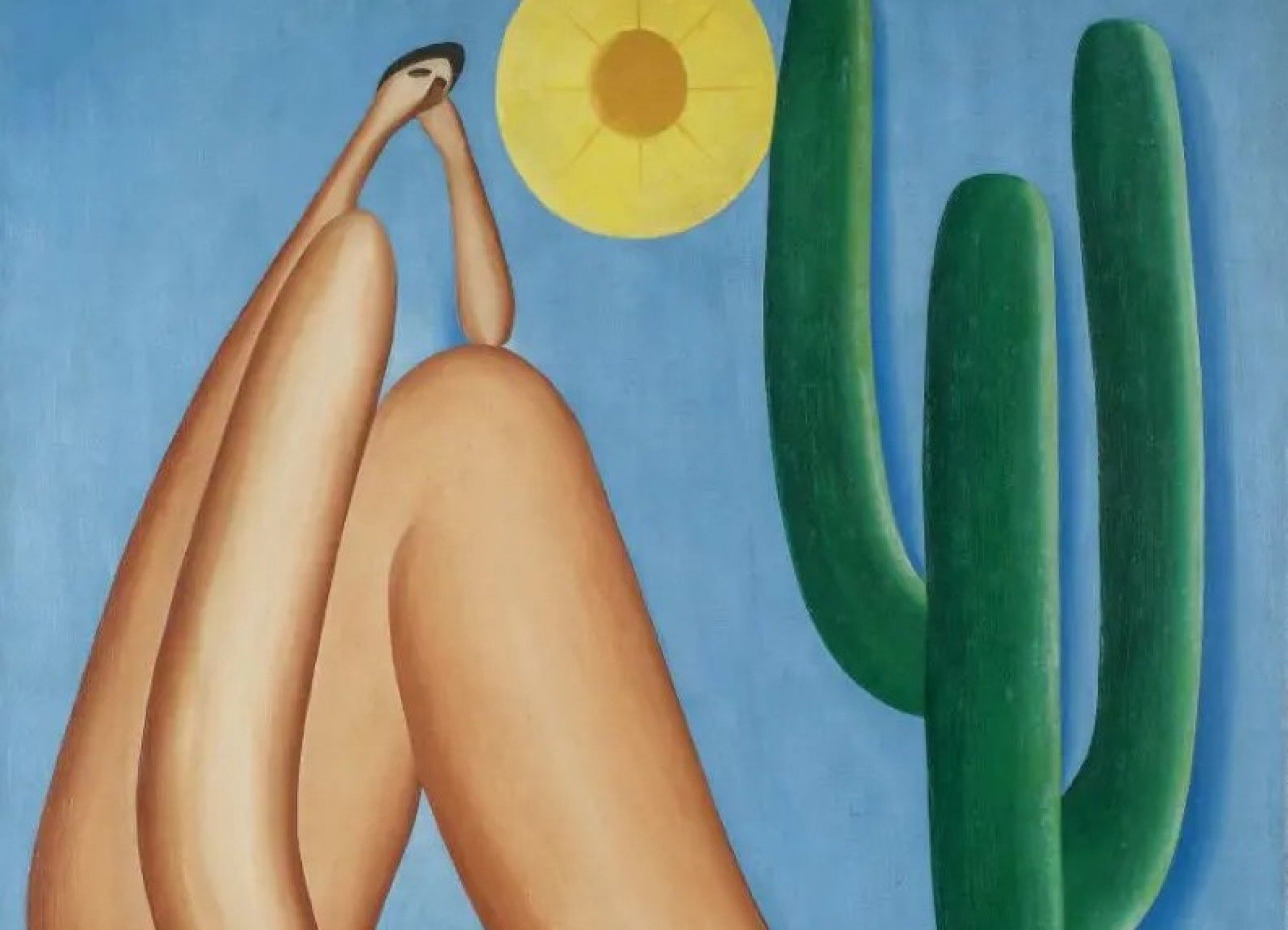 É brasileiro o quadro mais famoso de museu argentino