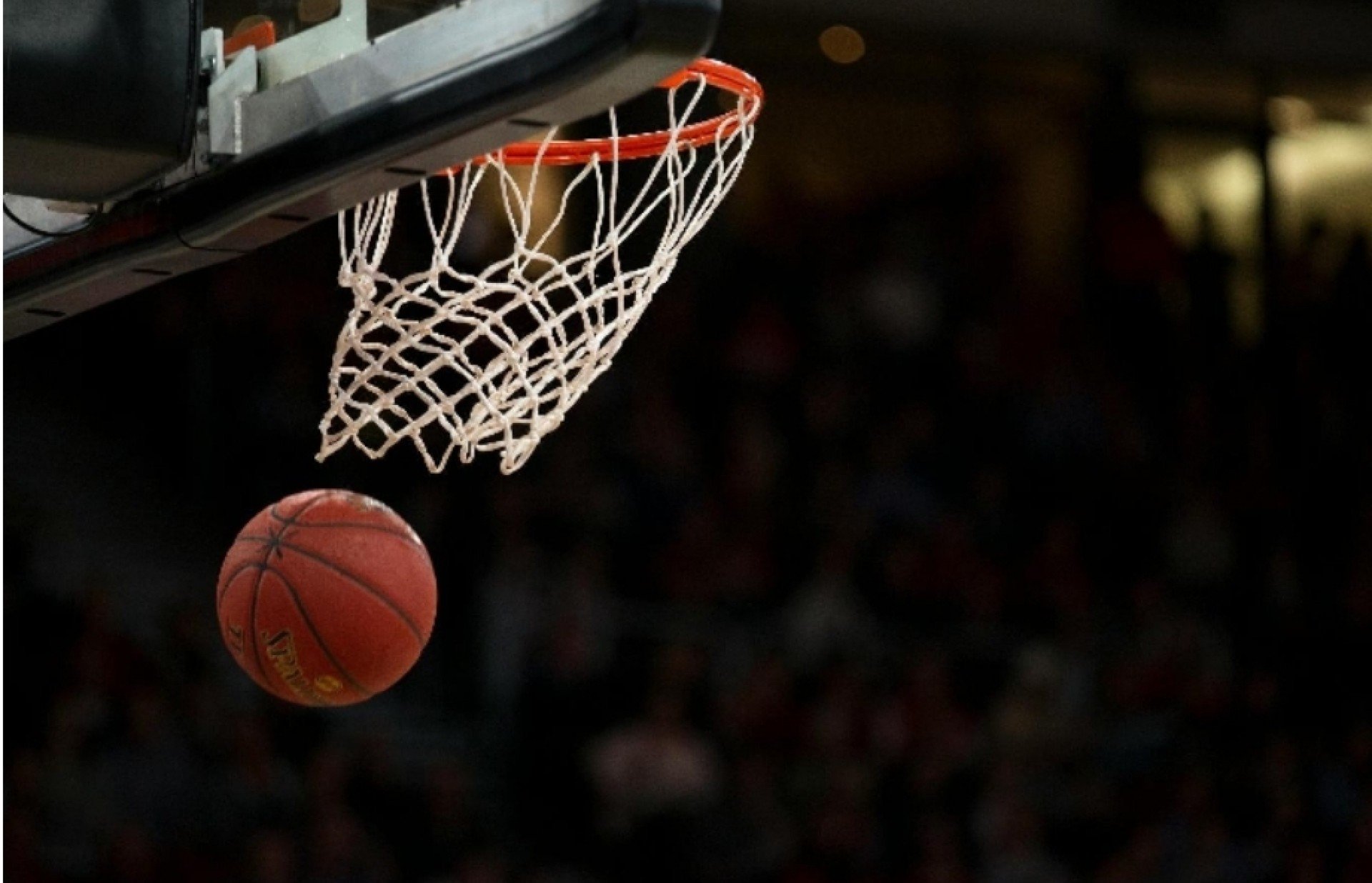 Final Four da BCLA 2025 começa hoje com dois brasileiros em busca da glória