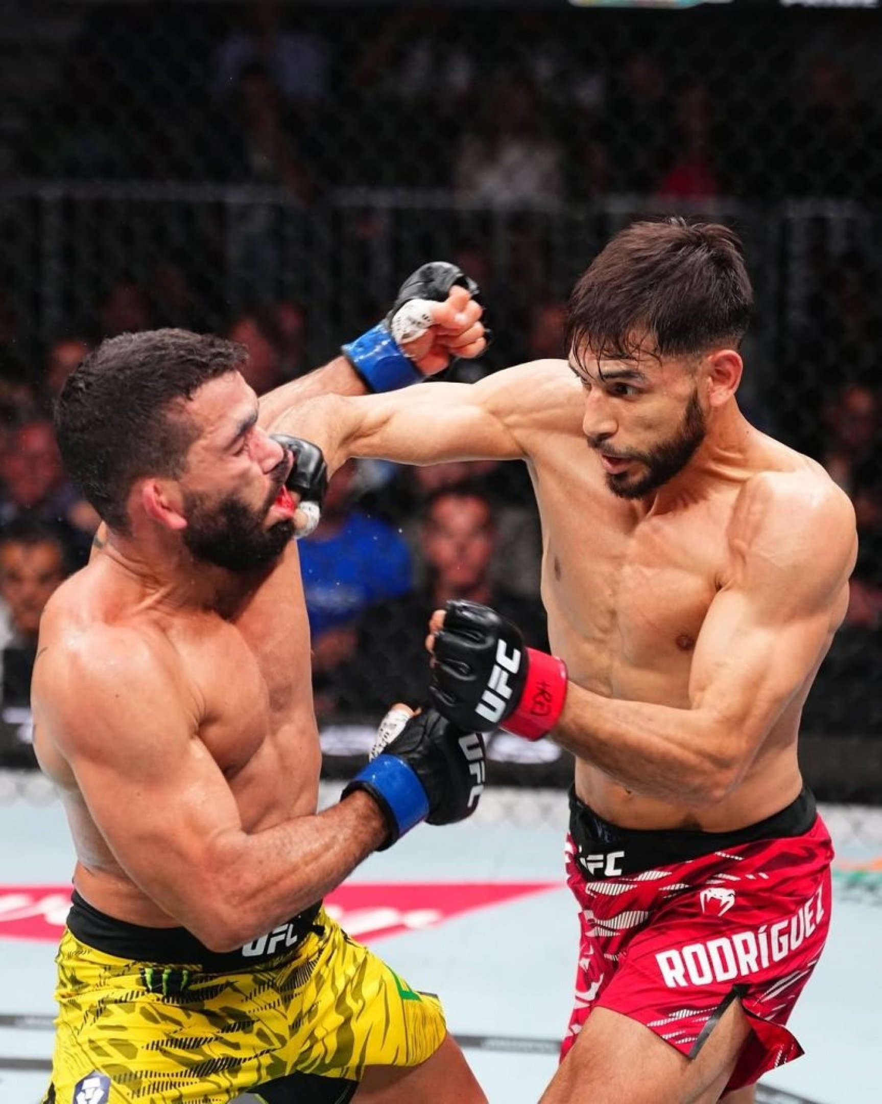 Todo o 'hype' pela estreia de Patrício Pitbull no UFC acabou não rendendo o resultado desejado com a derrota do brasileiro para Yair Rodríguez