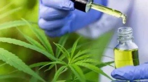 Produtos farmacêuticos à base de cannabis,