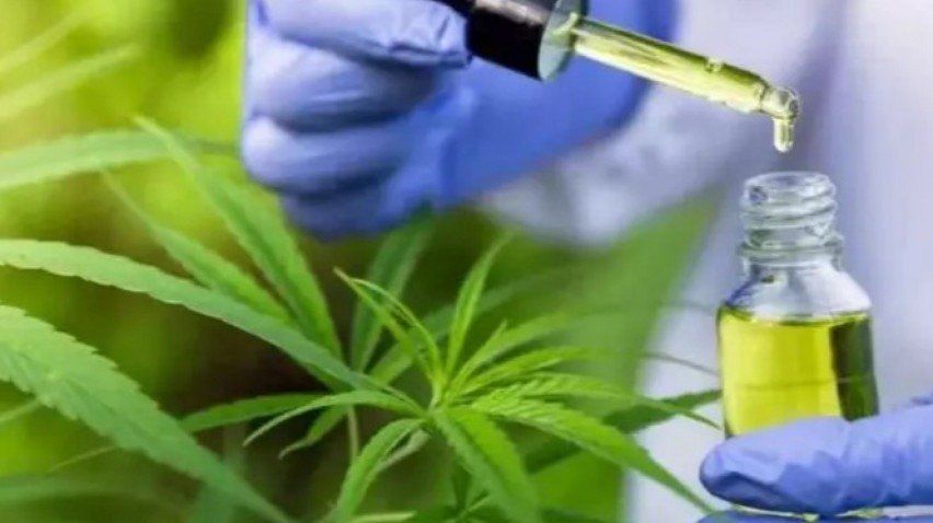 Produtos farmacêuticos à base de cannabis,