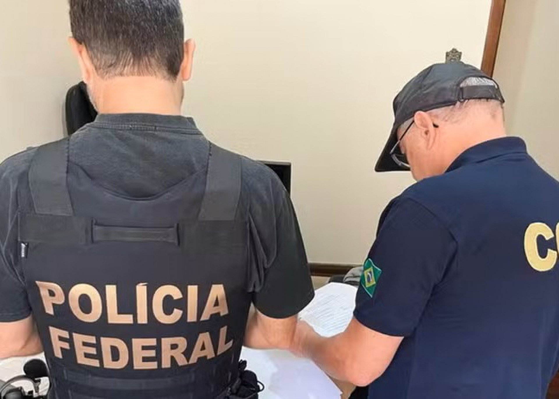 Divulgação