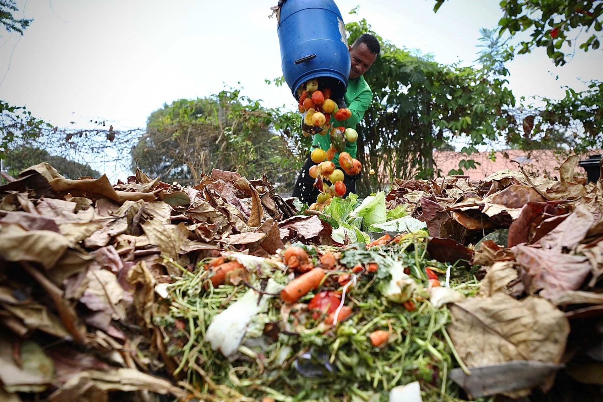 Semana Municipal da Compostagem da Prefeitura do Recife acontece de 5 a 9 de maio