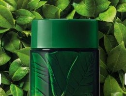 Esses 4 perfumes combinam com quem não gosta de perfume óbvio