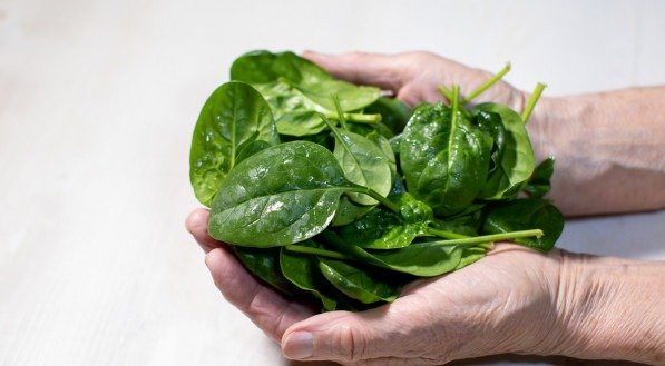 Espinafre: Vegetal estimula o colágeno e ajuda a combater a dor no joelho 
