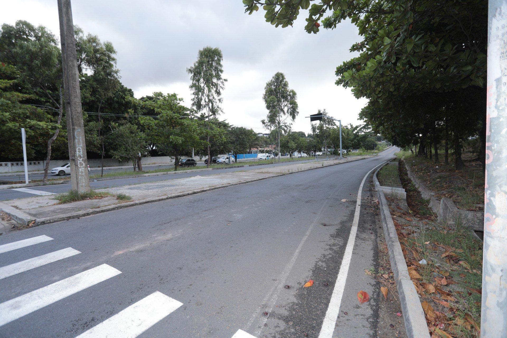 RENATO RAMOS/JC IMAGEM