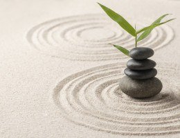 Imagem de pedras e plantas que fazem parte da prática do Feng Shui