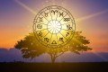 SIGNOS