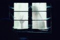 Filmes de Terror