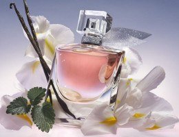 Tudo sobre La Vie Est Belle: fragrância, preço, como escolher o seu e dupes