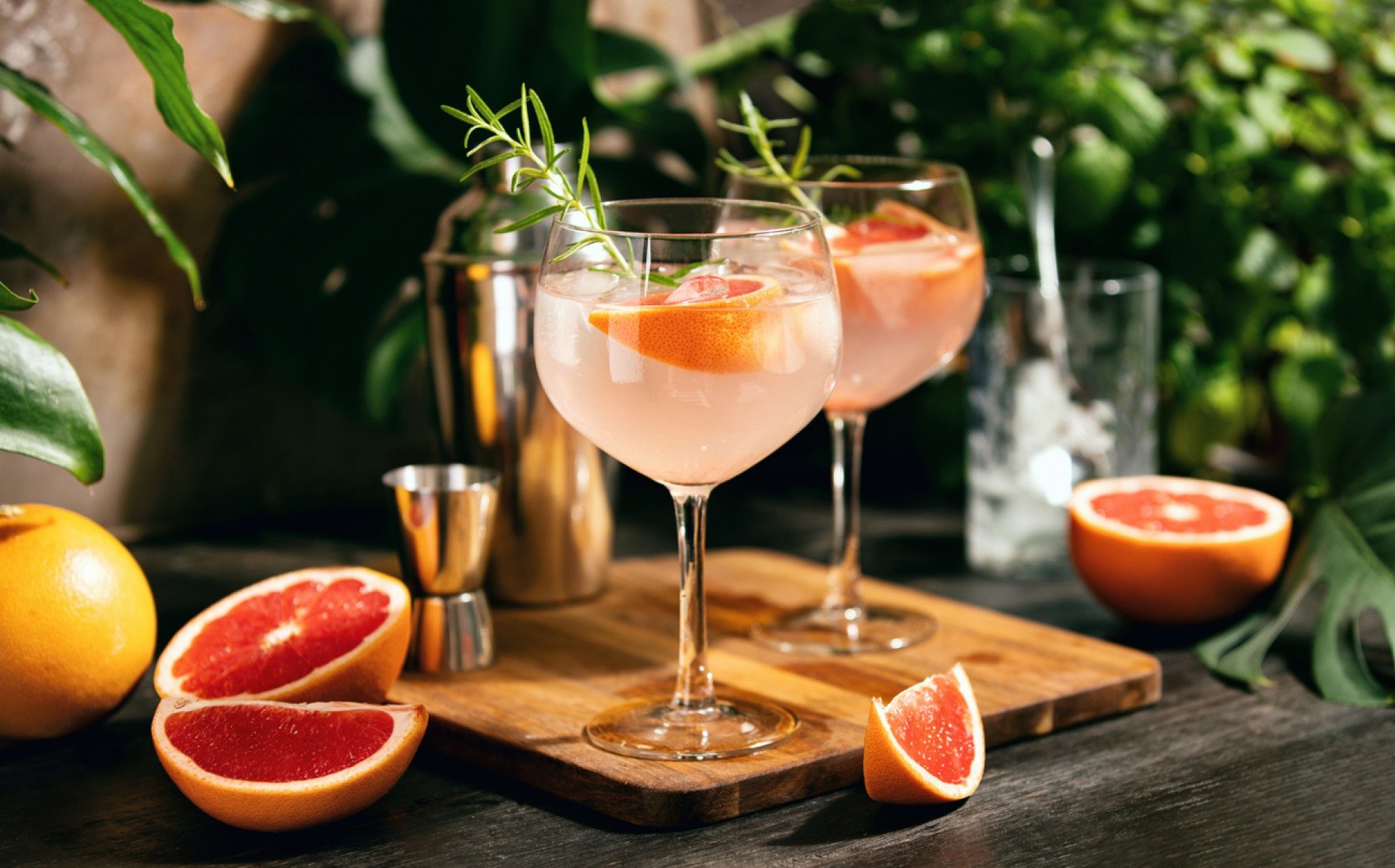 Imagem ilustrativa de coquetel de toranja rosa e gin com alecrim servido em uma taça.