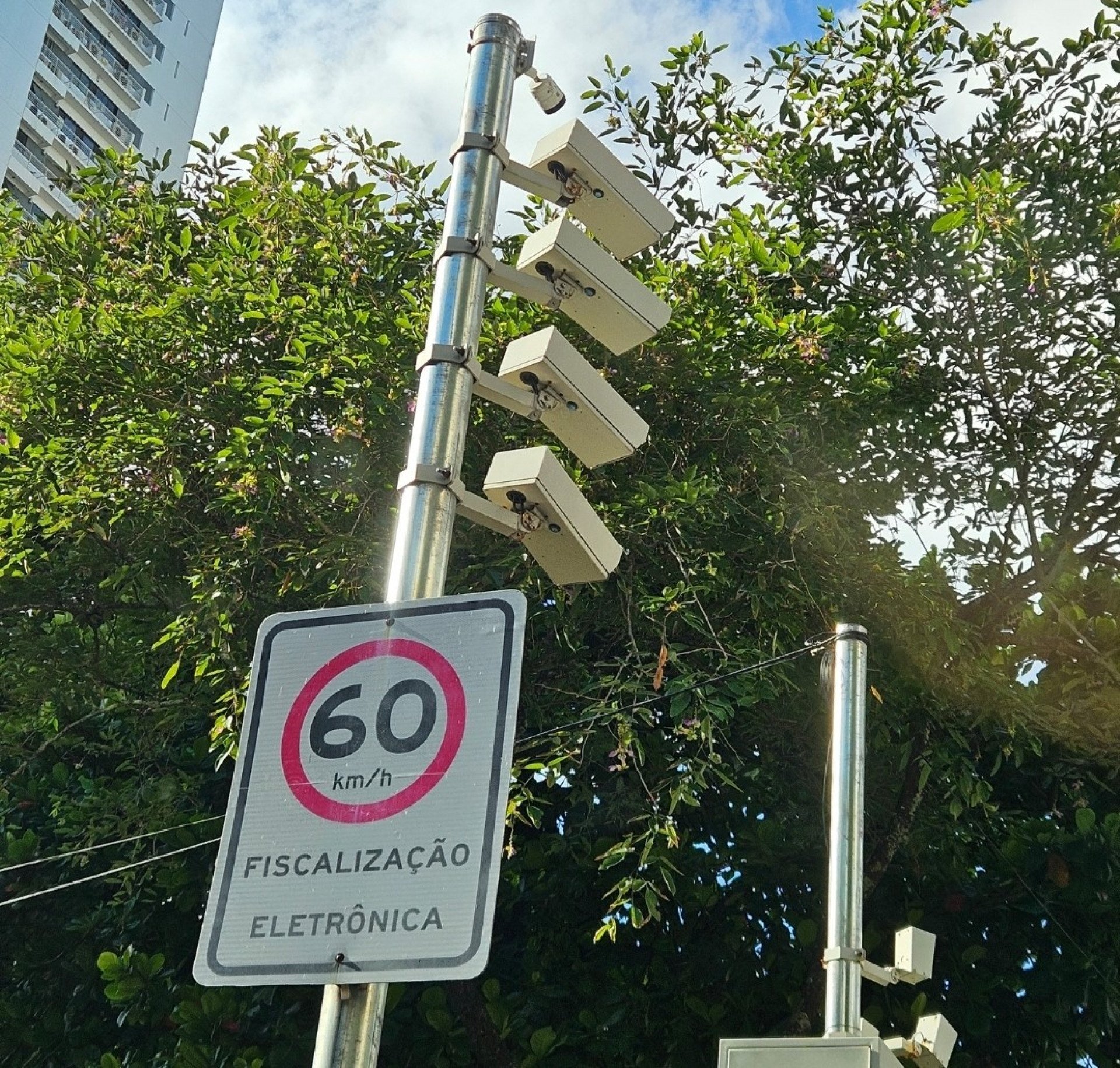 Foto da capa: Voz do Leitor