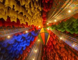 5 Dicas para aproveitar as Festas Juninas com saúde
